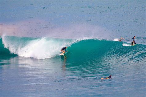 Mqgics surf report